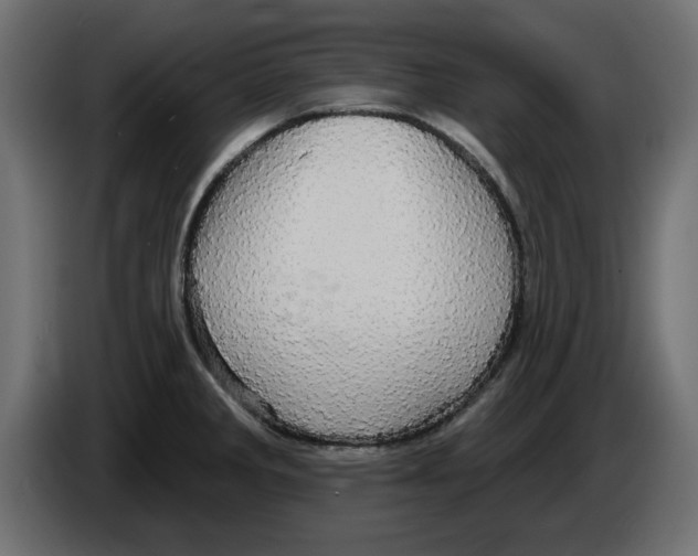 X0000084581285200703231835