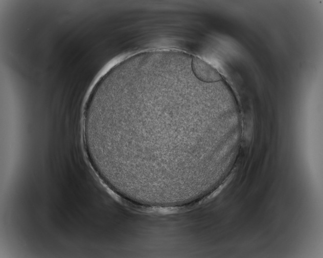 X0000084581286200703231835