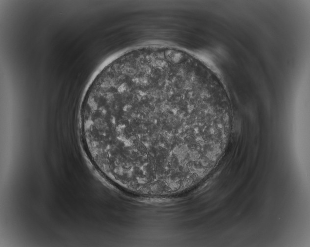 X0000084581287200703231835