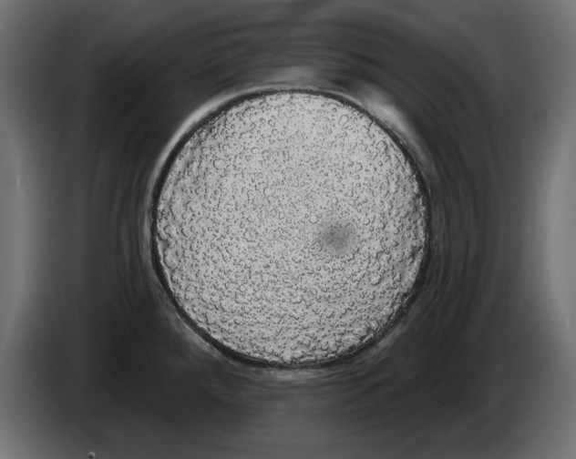 X0000084581288200703231835