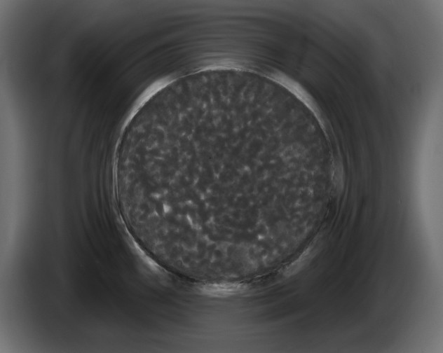 X0000084581290200703231835