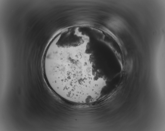 X0000084581291200703231835