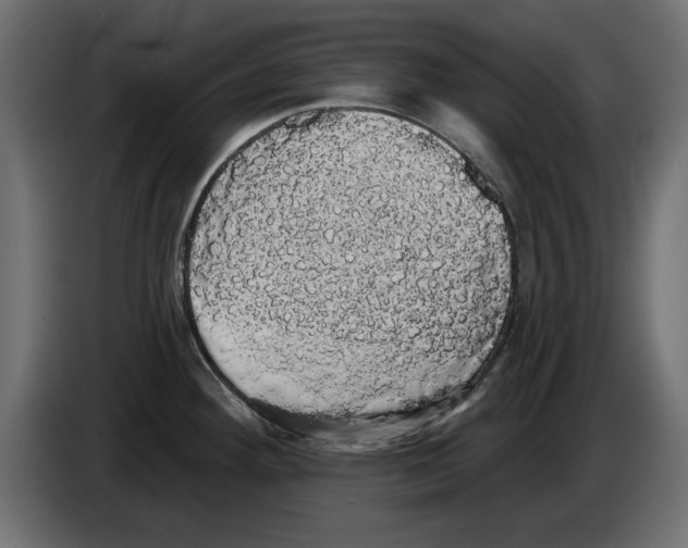 X0000084581292200703231835