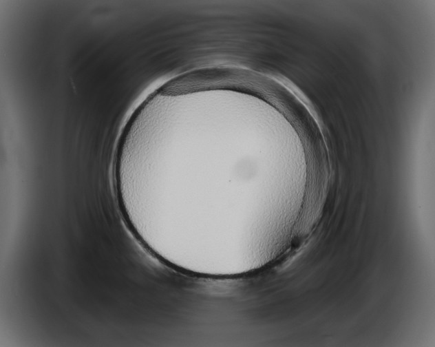 X0000084581293200703231835