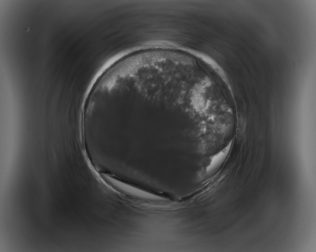 X0000084581295200703231835
