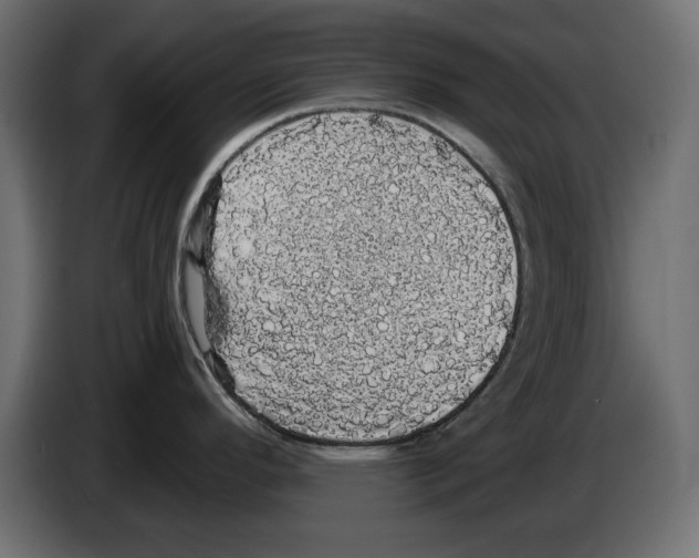 X0000084581296200703231835