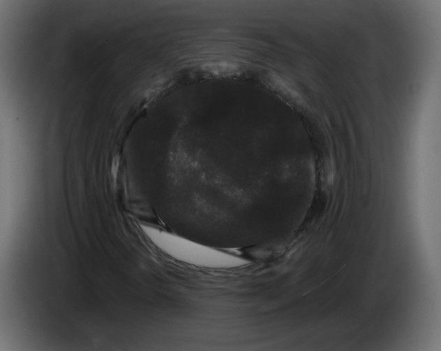 X0000084581298200703231834