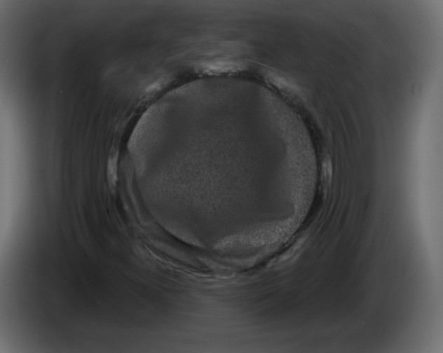 X0000084581300200703231834