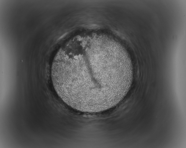 X0000084581301200703231834