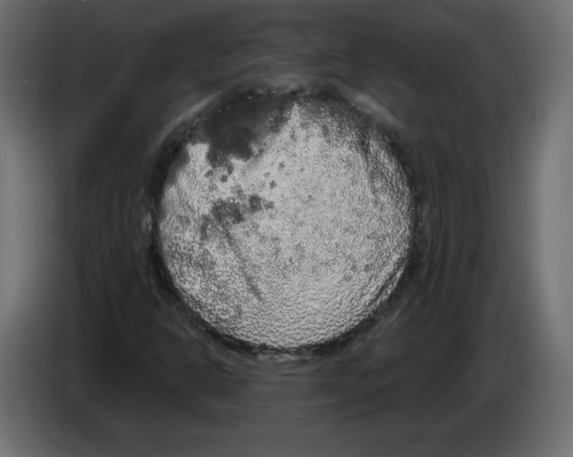 X0000084581302200703231834
