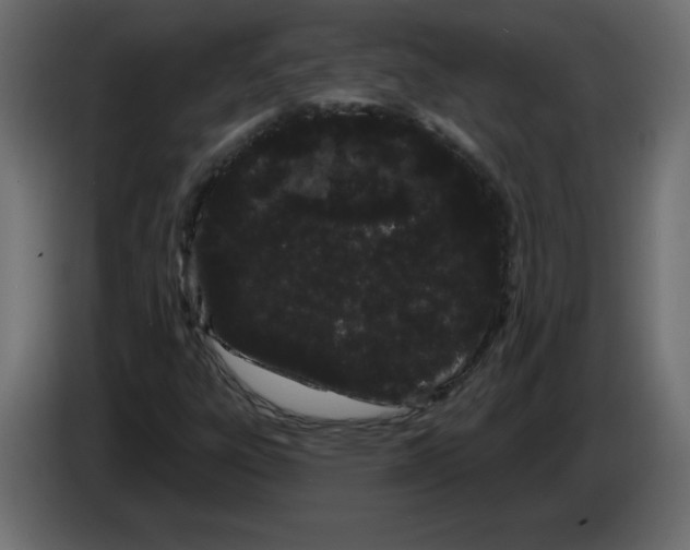 X0000084581303200703231834
