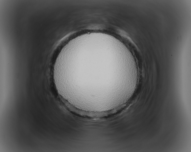 X0000084581304200703231834