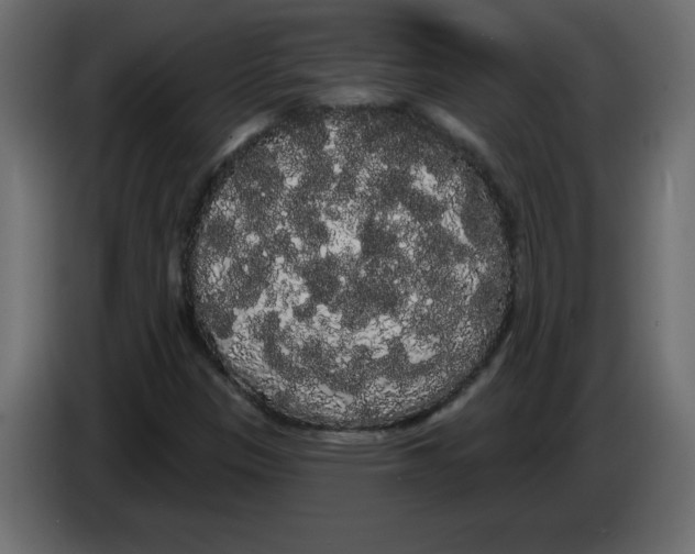 X0000084581305200703231834