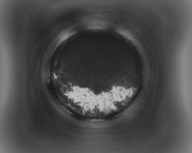 X0000084581306200703231834