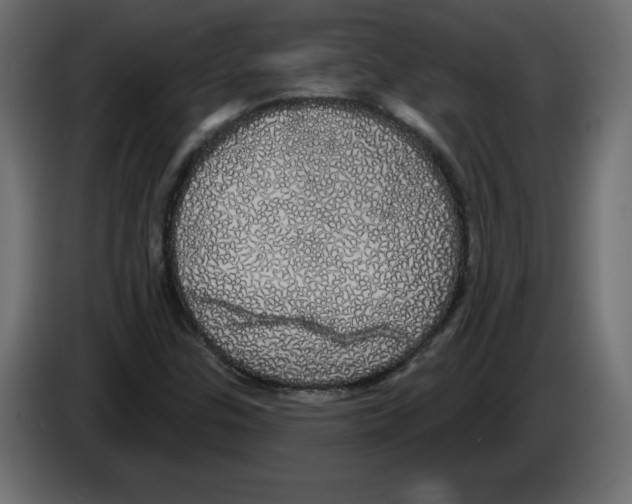 X0000084581307200703231834