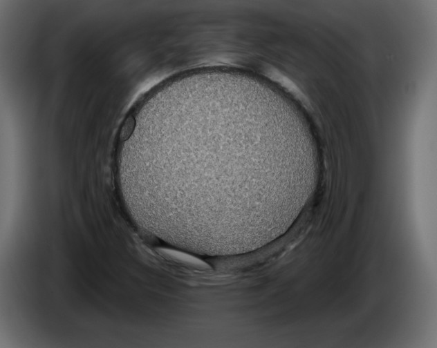 X0000084581308200703231834