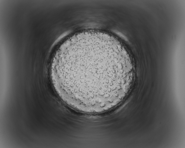 X0000084581309200703231834