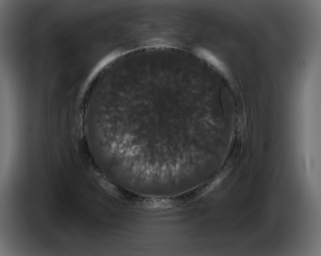 X0000084581310200703231834