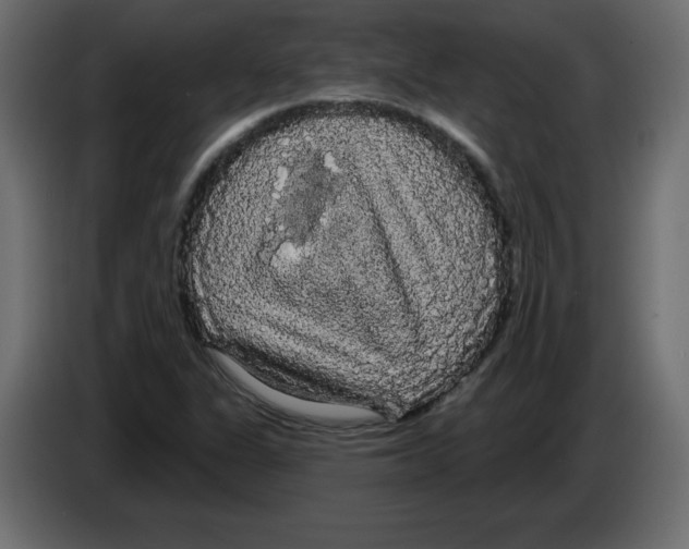 X0000084581311200703231834
