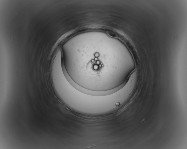 X0000084581314200703231834