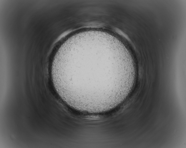 X0000084581315200703231834