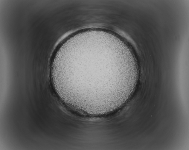 X0000084581316200703231834