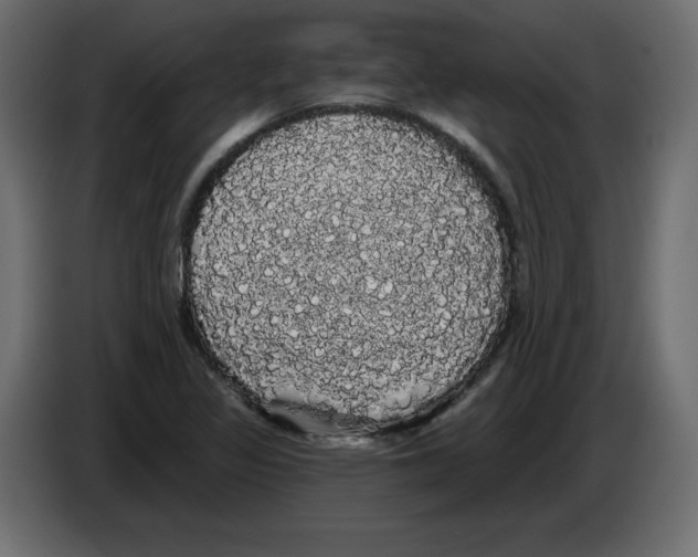 X0000084581317200703231834