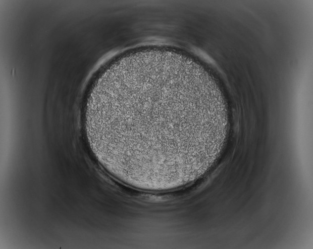 X0000084581318200703231834