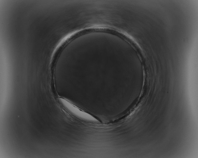 X0000084581319200703231834