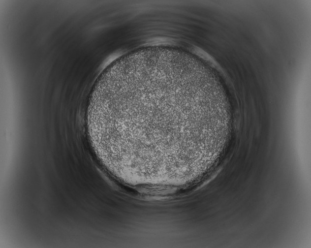 X0000084581321200703231835