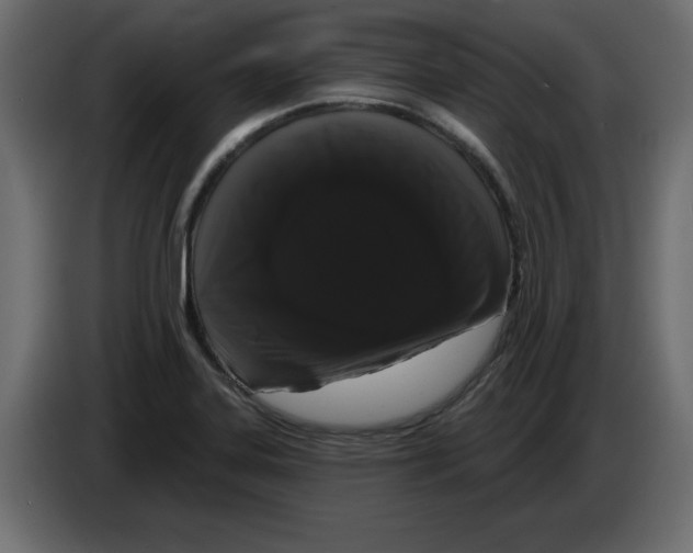 X0000084581323200703231835