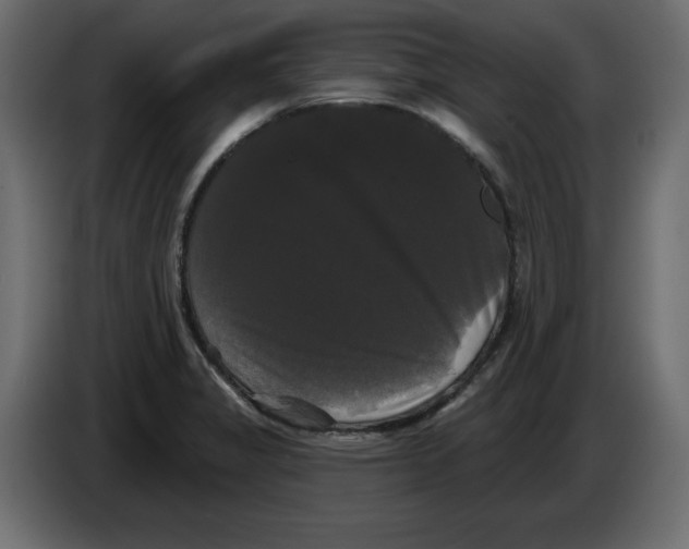 X0000084581325200703231835