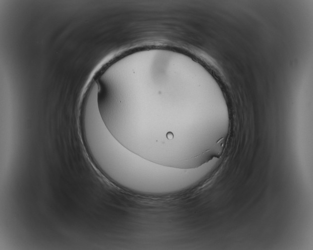 X0000084581326200703231835