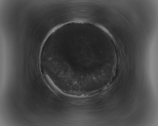 X0000084581327200703231835