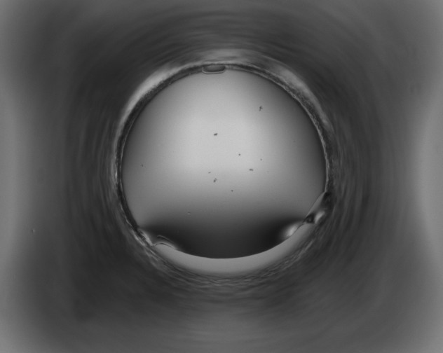X0000084581328200703231835