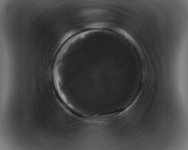 X0000084581329200703231835
