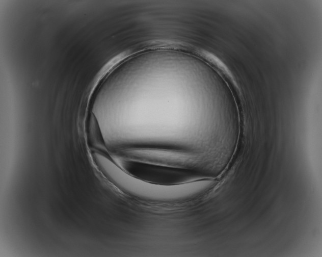 X0000084581330200703231835
