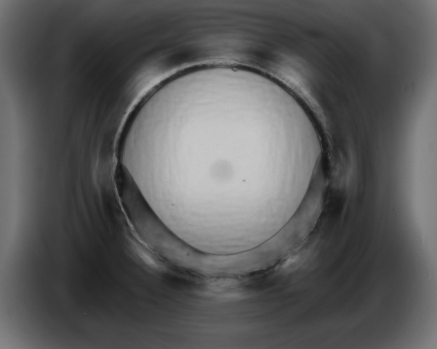 X0000084581332200703231835