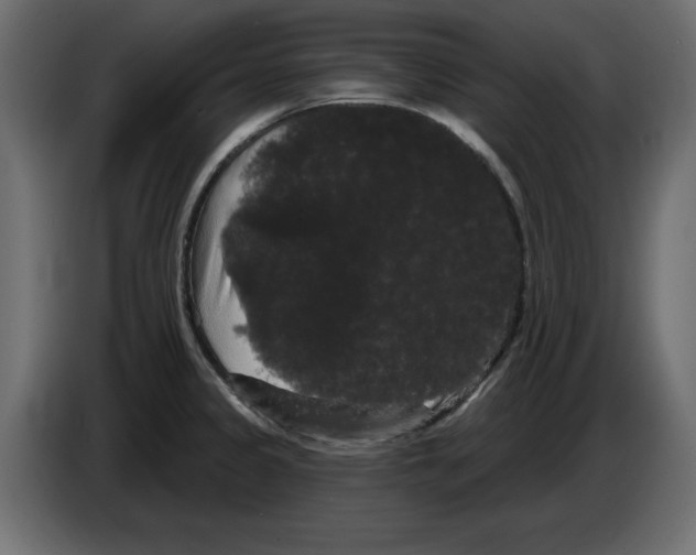 X0000084581333200703231835