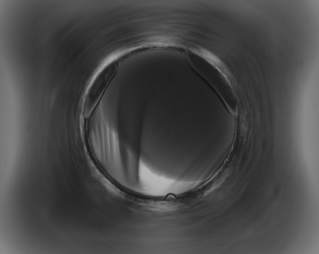 X0000084581334200703231835