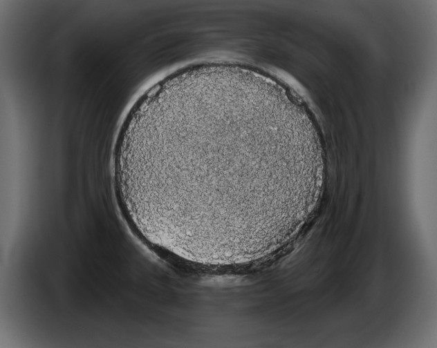 X0000084581335200703231835