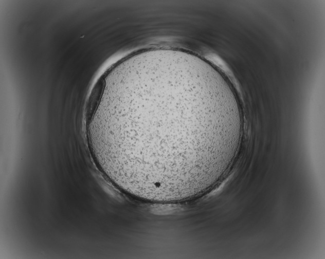 X0000084581336200703231835
