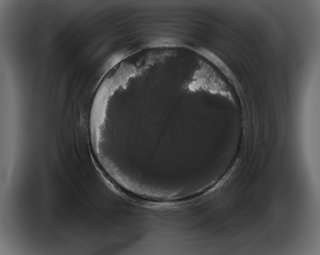 X0000084581337200703231835