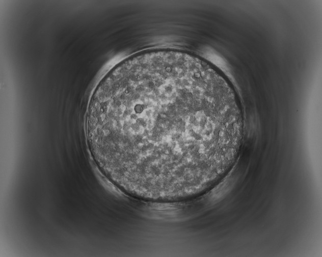 X0000084581338200703231835