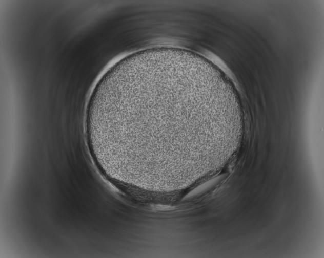 X0000084581339200703231835