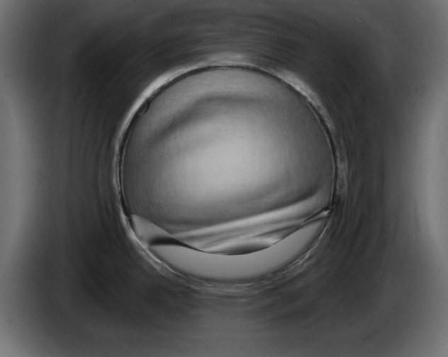 X0000084581342200703231835