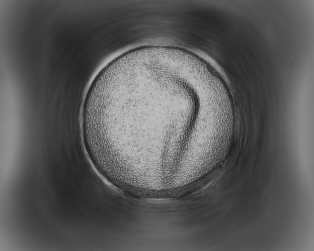 X0000084581343200703231835
