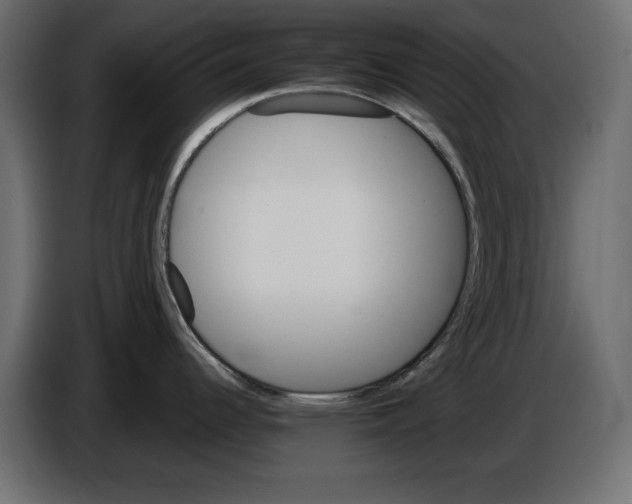 X0000084581344200703231835
