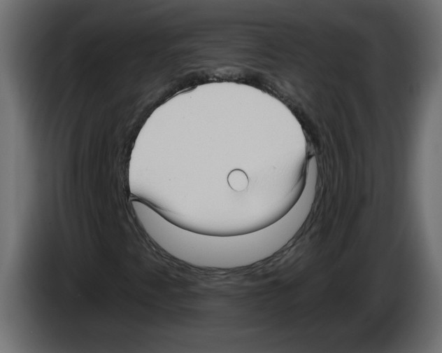 X0000084581345200703231834