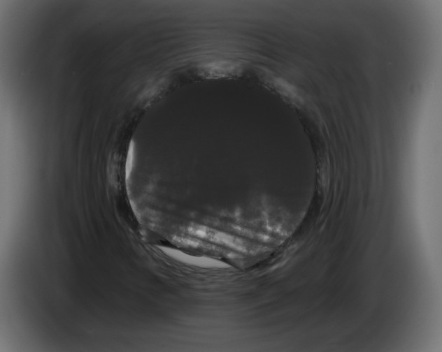 X0000084581346200703231834
